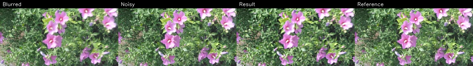Derived GoPro Flower comparison: blurred, noisy, restored, and reference images.