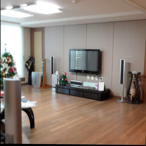 Mat3 living-room blurred input photograph.